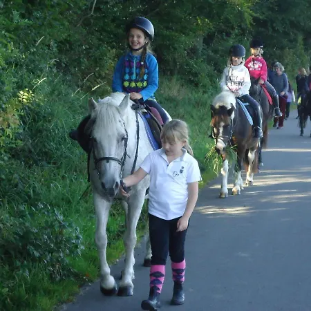 Апартаменты Reiterhof Lausen *