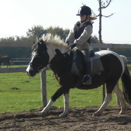 Апартаменты Reiterhof Lausen