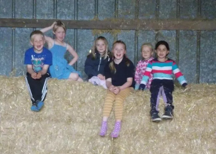 Reiterhof Lausen Apartment