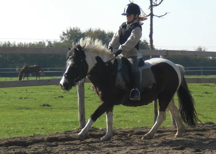 Apartment Reiterhof Lausen