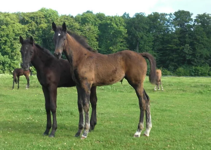Reiterhof Lausen Apartment Stangheck